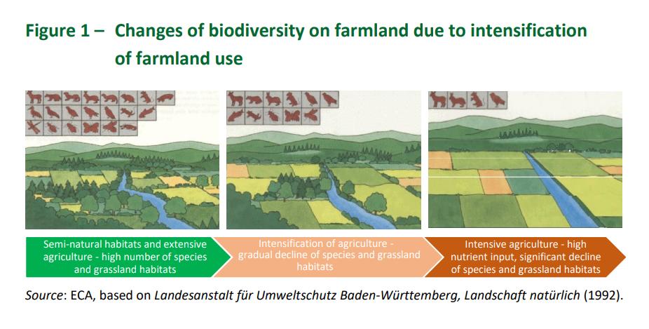 European Court of Auditors on Twitter: "🌱 #Biodiversity in the #EU is in a continuous, strong decline, particularly as a result of #farming activity, warn @EUauditors 👩‍🌾👨‍🌾 📗 Learn more: https://t.co/osycp6Vhk3 https://t.co/RydOhdogjY" /