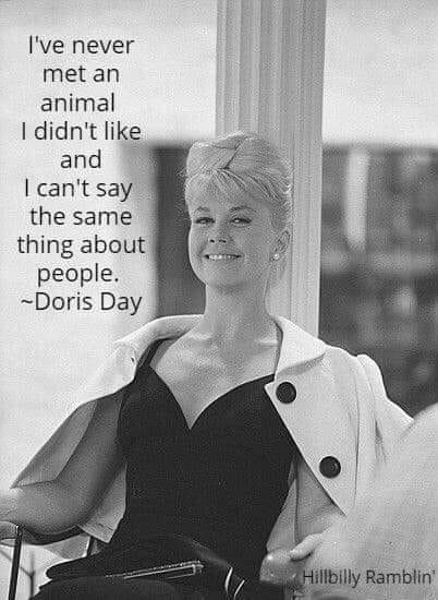JeanieThePixie's tweet photo. Doris was so right ♥️#DorisDay #dorisdayrip https://t.co/Puo6Byyn69