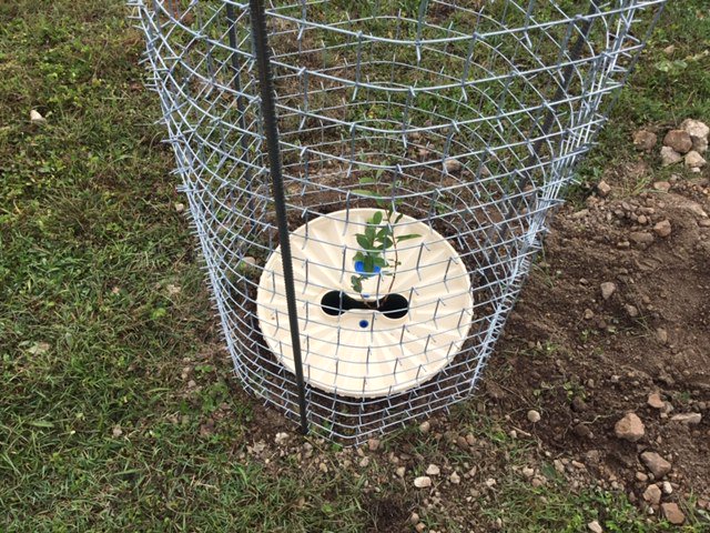 CactusProtector's tweet photo. Nos ha encantado recibir las buenas impresiones que ha tenido Protector Cactus en Australia. Esperamos seguir recibiendo buenas noticias de nuestros clientes.

https://t.co/SoM3O87GbI https://t.co/JkSxPZ7RLK