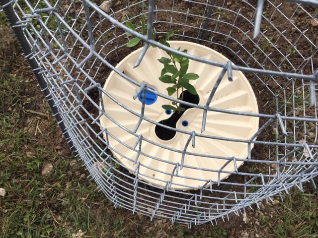 CactusProtector's tweet photo. Nos ha encantado recibir las buenas impresiones que ha tenido Protector Cactus en Australia. Esperamos seguir recibiendo buenas noticias de nuestros clientes.

https://t.co/SoM3O87GbI https://t.co/JkSxPZ7RLK