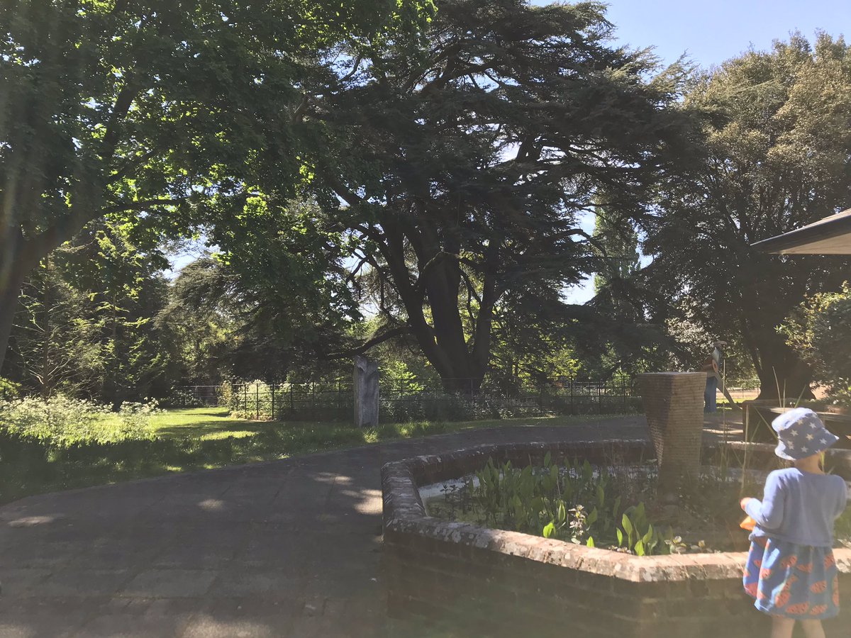 LarkingArts's tweet photo. Farnham Library’s garden - a hidden treasure #Farnham @FarnhamLibrary https://t.co/5eTx1wpX4P