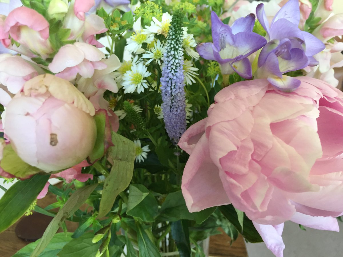 Diana Leake Osteopathy (@dianaleakeosteo) on Twitter photo <a href="/BloomandWild/">Bloom & Wild</a> I received some of your beautiful letterbox flowers last week. 4 out of 5 peonies have opened. Any tips for encouraging the last one? <a href="/BloomandWild/">Bloom & Wild</a> I received some of your beautiful letterbox flowers last week. 4 out of 5 peonies have opened. Any tips for encouraging the last one?