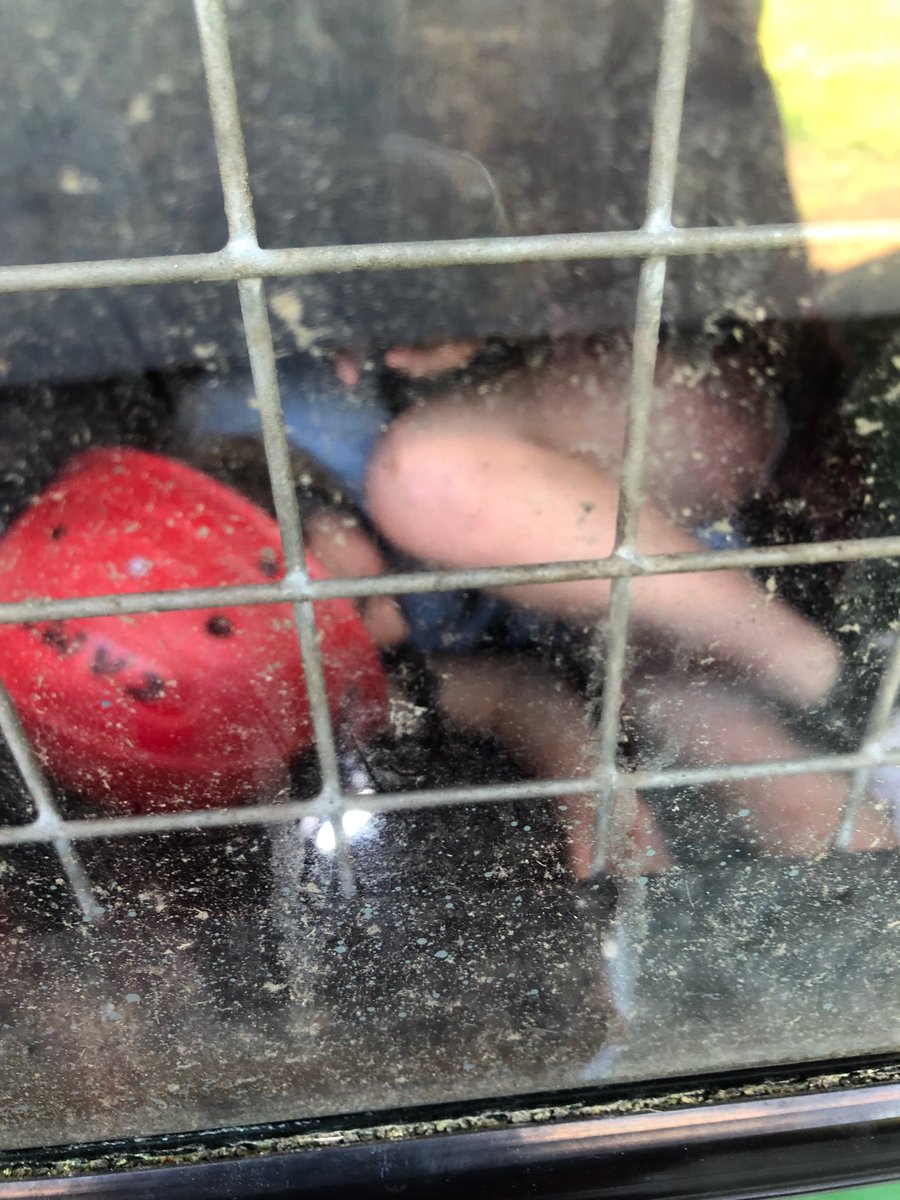 CTK_CPS's tweet photo. #butcherscoppice #cavebus #bebrave https://t.co/Szb52LLR74