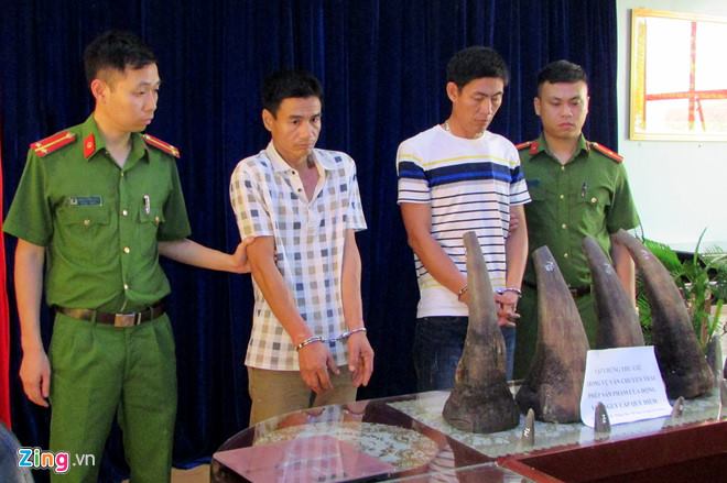 CITES's tweet photo. Vietnam: 3 men sentenced to a combined total of 27 years in prison for attempting to smuggle #rhino horn into China https://t.co/RtmJiTFmUa via @TRAFFIC_WLTrade #WildlifeTrafficking #WildlifeCrime

It is most encouraging to see that #CITES Parties are #SeriousAboutWildlifeCrime. https://t.co/cSR8j61g7o