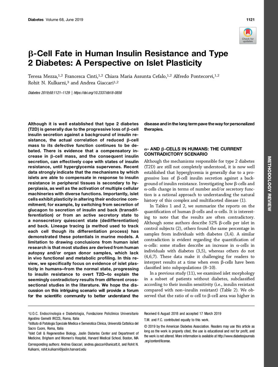 Andrea Giaccari Review Just Published On Diabetes B Cell Fate In Human Insulin Resistance And Type 2 Diabetes A Perspective On Islet Plasticity And Its Role In The Pathogenesis Of Hyperglycemia
