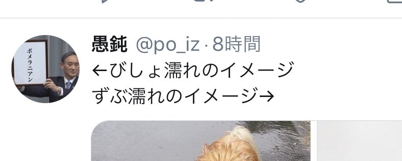 توییتر 愚鈍 در توییتر 違いますから 菅さんがびしょ濡れのイメージという意味ではないですから T Co Mmrxjblsz1