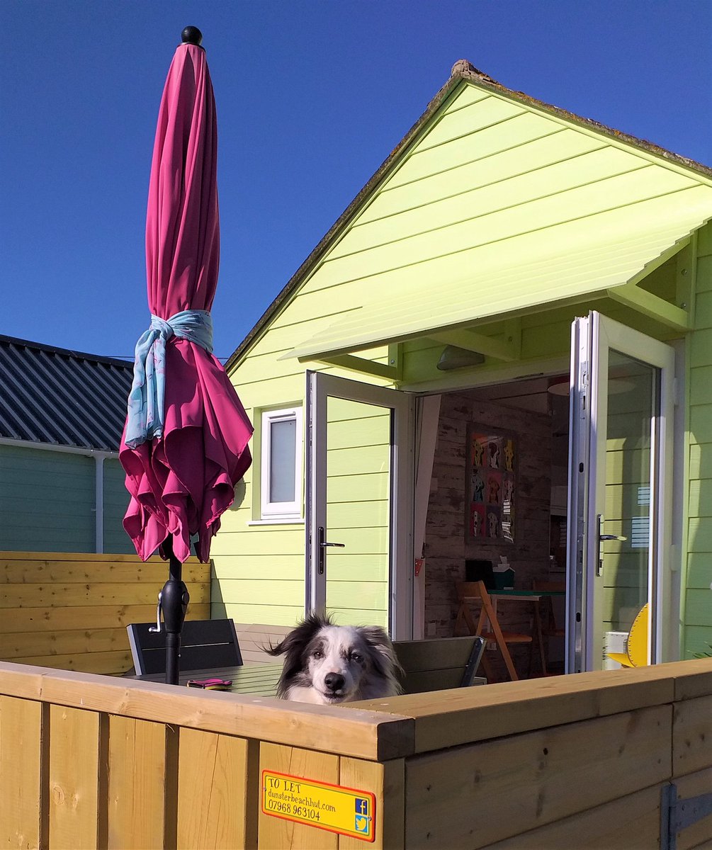 Holi Moli tweet media