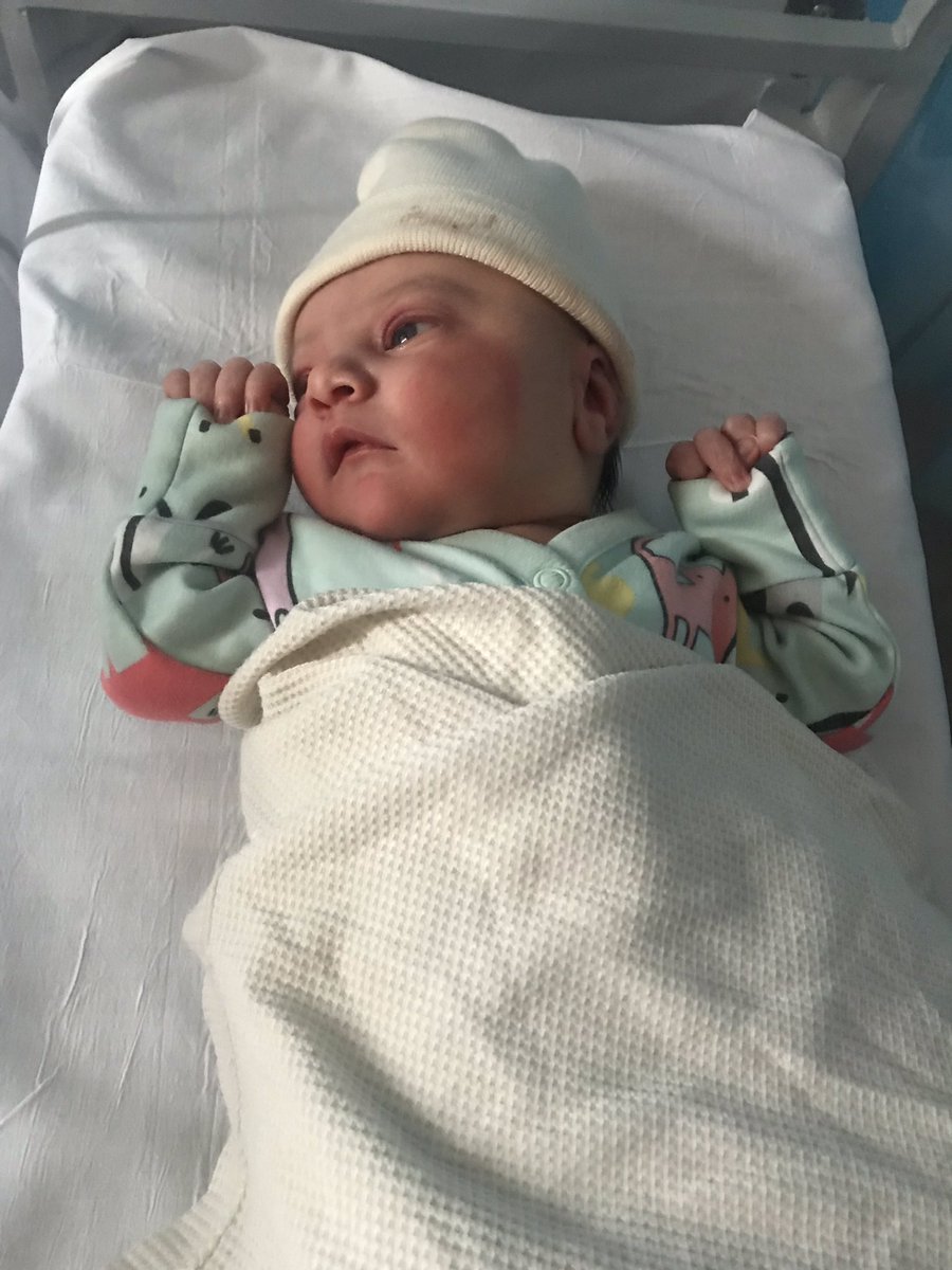 Lee Provost tweet media