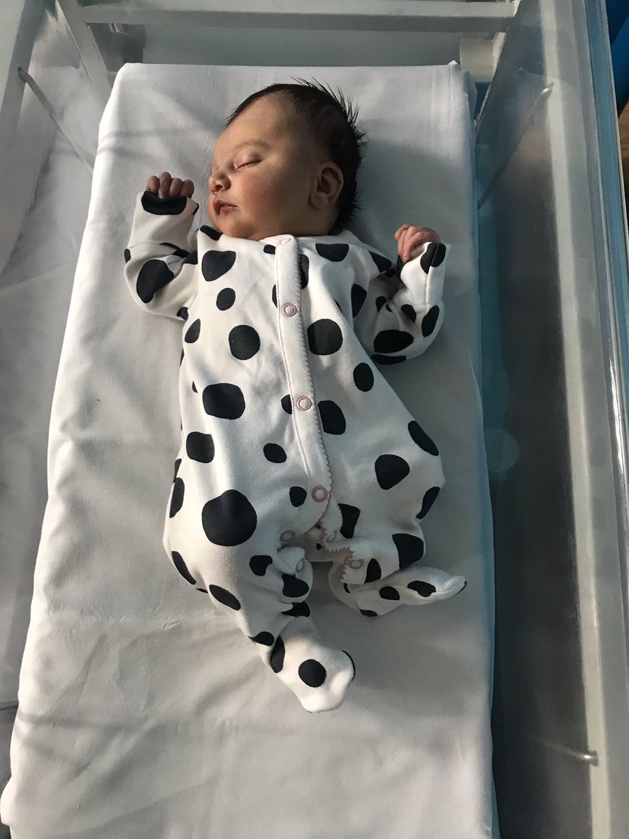 Lee Provost tweet media