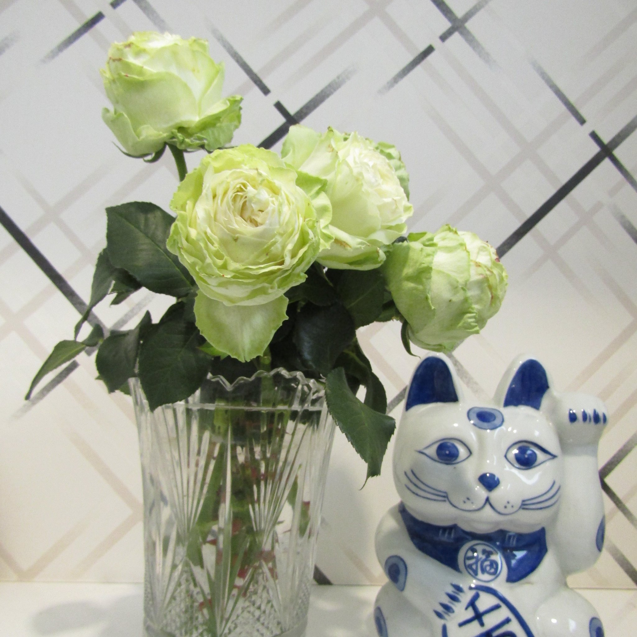 ふる ふる バラ わかな シンビジューム ラベンダー バラ ガブリエル ルージュピエールドゥロンサール 花あそび ふる ふる バラ わかな シンビジューム ラベンダー バラ ガブリエル ルージュピエールドゥロンサール 花あそび