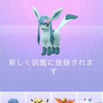 ポケモンgoで グレイシア が話題に ポケgo トレンディソーシャルゲームス ポケモンgoで グレイシア が話題に ポケgo トレンディソーシャルゲームス