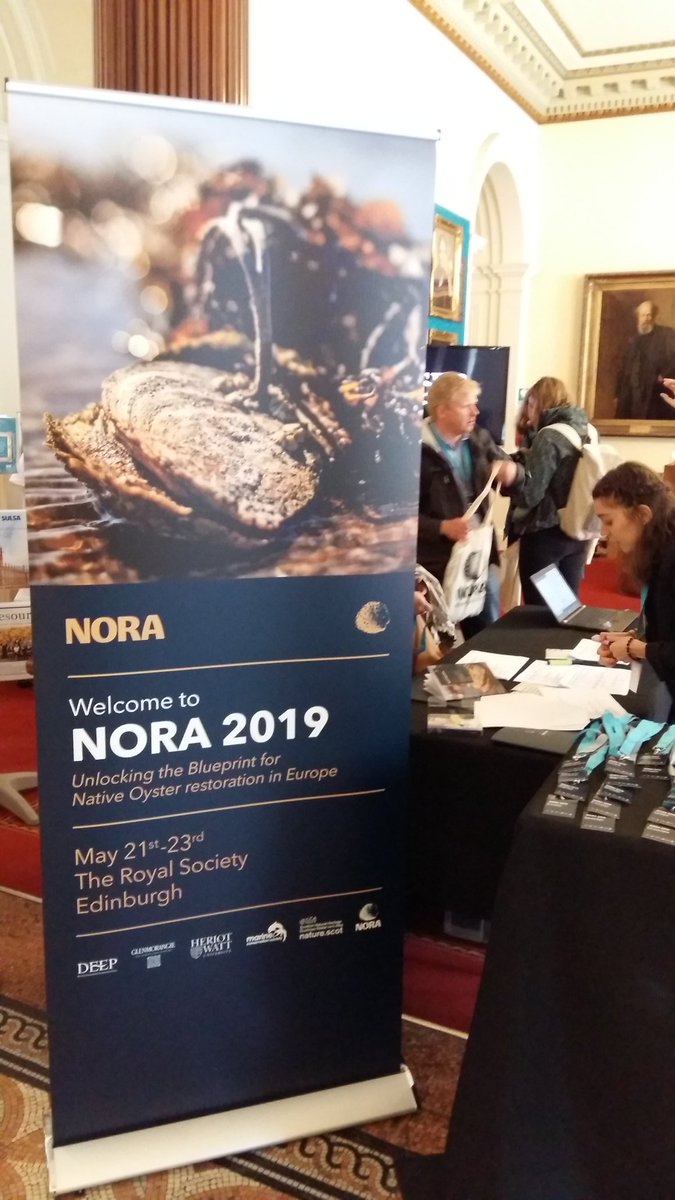NORA_Europe's tweet photo. Gearing up to begin the NORA 2019 conference in Edinburgh #NORA2019 @TheGlenmorangie @HWU_EGIS @HeriotWattUni @mcsuk https://t.co/xTTIi64lK1