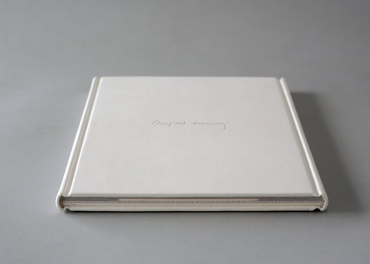 Occipital Drawings. Book, bound on both edges. Images conceived during dark residency. Occipital lobe is the area of brain used in visual processing - both real and  imagined images. Surrounding book is a hand finished silk print. The  drawing was also created whilst in blackout.