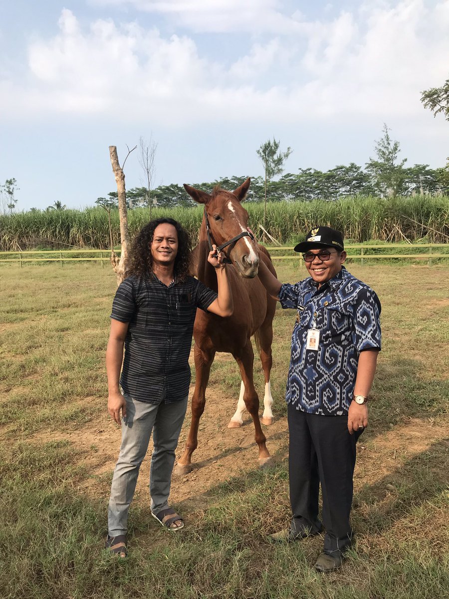 “Golden Gets”, tempat yang akan kita jadikan wisata berkuda dan sarana untuk PORDASI di Kab Pekalongan.