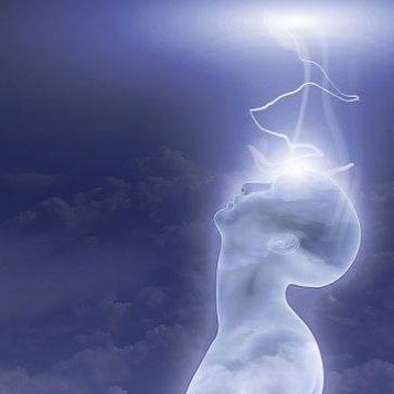 AlchemyofHeart's tweet photo. Our greatest human adventure is the evolution of consciousness. We are in this life to liberate the spirit and light up the brain. #freeyoursoul #openthedoorsofperception #loveishere https://t.co/rnS0iWEi3K https://t.co/W2ohO85Hzc