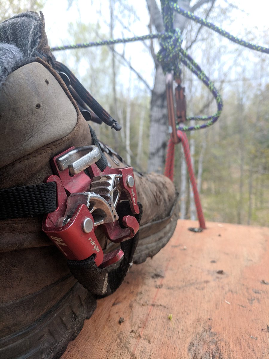 figure_nine's tweet image. Ninja's, platforms and power cord. @HarkenIND ninja foot ascender getting us where we need to be. 
#figurenine #remoterigging #filmsafety #canopyplatforms