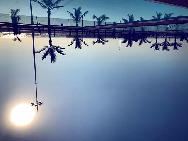 vickipilcher's tweet photo. #Durban promenade walks with #reflections in the #pool ⬆️⬇️ #DownsideUpDBN
.
.
.
.
.
#blueskies #upsidedown #mirrorlike #DownSideUpSA #silhouette #palm
#exploredbn #exploreza #localguides #localguidesconnect #thisissouthafrica #n3gateway #earthescope #bl… https://t.co/pJvEbT0Jxo https://t.co/8oavjeEGfG