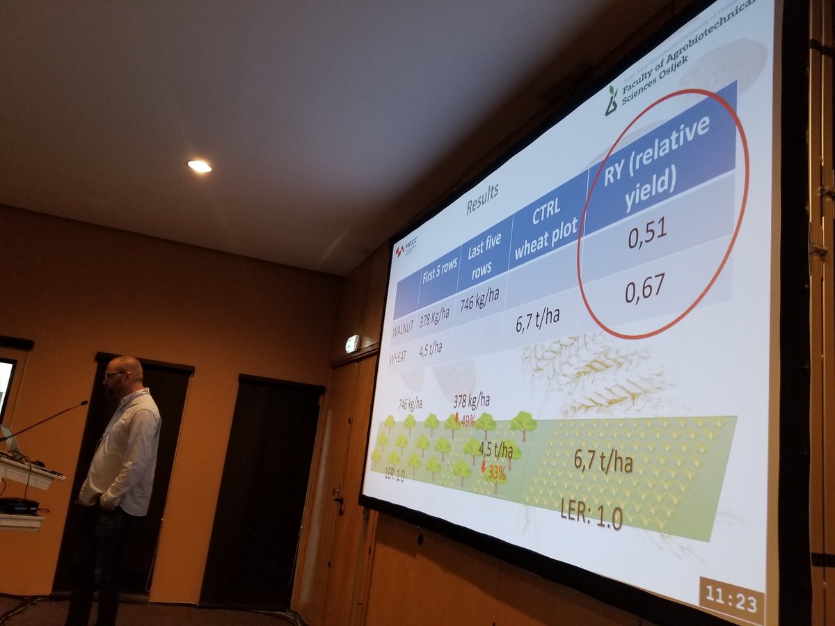 #agroforestry2019 xcellent talk by Vladimir Ivezic #Crotia intercropping of #walnut and #wheat <a href="/EURAF_AF/">EURAF</a> <a href="/AFTAgroforestry/">Association for Temperate Agroforestry (AFTA)</a>