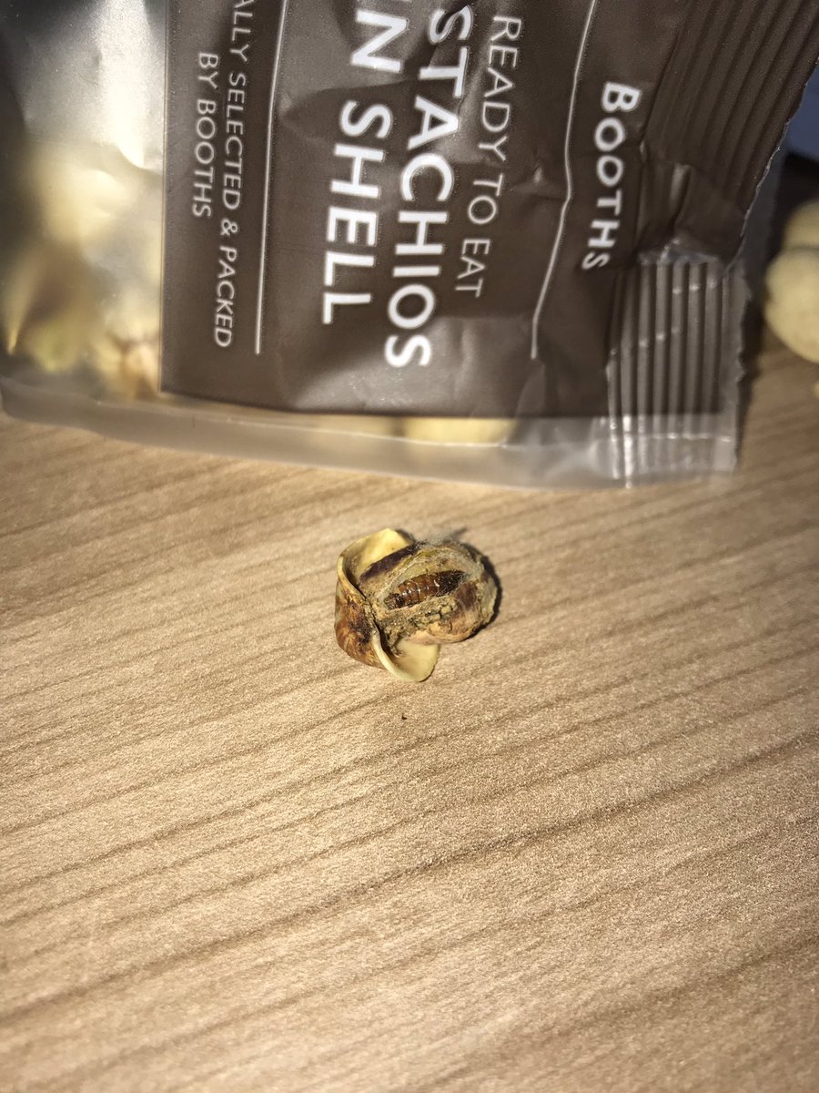 CalumGreene's tweet photo. @BoothsCountry there’s some sort of bug burrowed into my pistachio - can I get a replacement? https://t.co/Yx3lNwAUu1