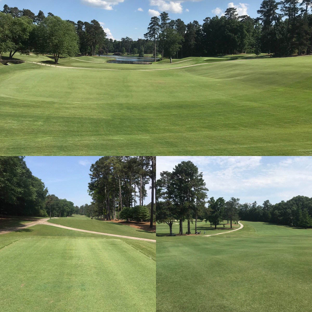 LeefordSimpson's tweet photo. Landing area at 1, 17 Tee, &amp; 16 approach @AthensCC hard working James Drinkard GC Supt Assts Nappa and Bill dialing it n at #ACC Ross course is agronomically off the charts @HarrellsLLC  @awilhite11 ⛳️ #team #foliars #pooster #details https://t.co/bwrHszX5Ys