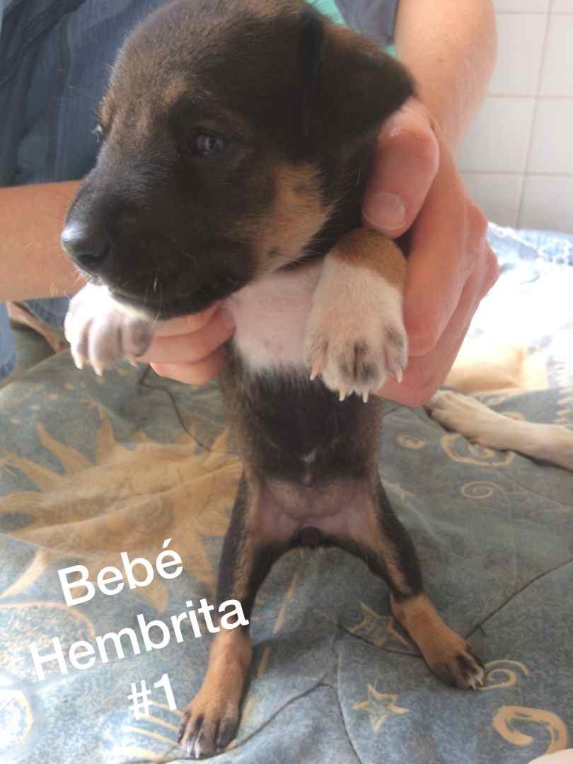 UNA PATA AMIGA INDEP tweet media