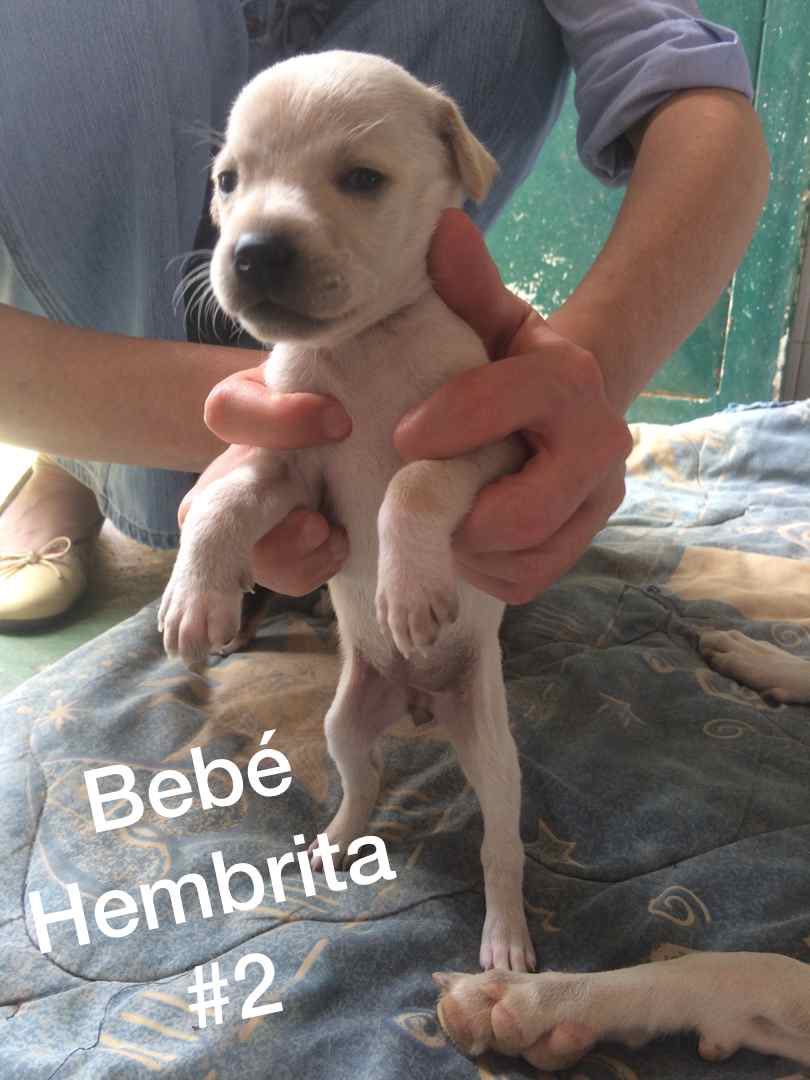 UNA PATA AMIGA INDEP tweet media