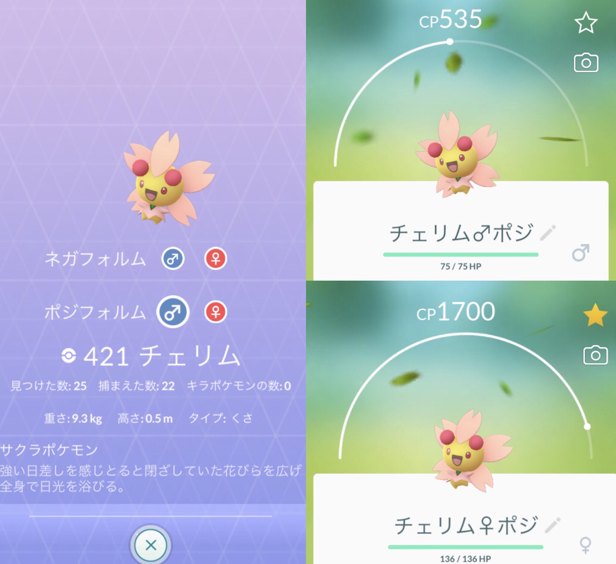ひかぴか チェリムのポジフォルム 揃いました 残りはすなちのミノムッチ ポケモンgo Pokemongo チェリムポジフォルム T Co Dlz5nmo9jq Twitter