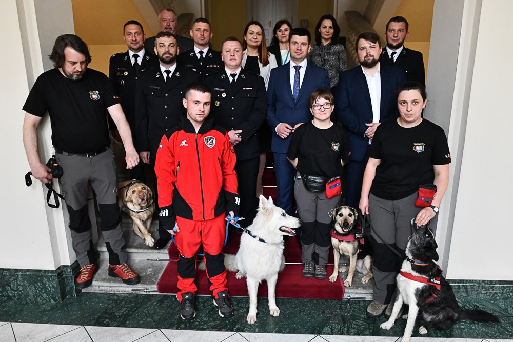 malopolskaPL's tweet photo. Ratownicy i ich czworonożni towarzysze z małopolskich grup poszukiwawczo-ratowniczych gościli dziś w #UMWM. Wicemarszałek @Smolka_Lukasz przekazał przedstawicielom OSP GPR z #NowySącz #Kęty i #Goszcza środki finansowe - łącznie 120 tys. zł. https://t.co/RCt1EsFgyc https://t.co/gPEEtfeXHK