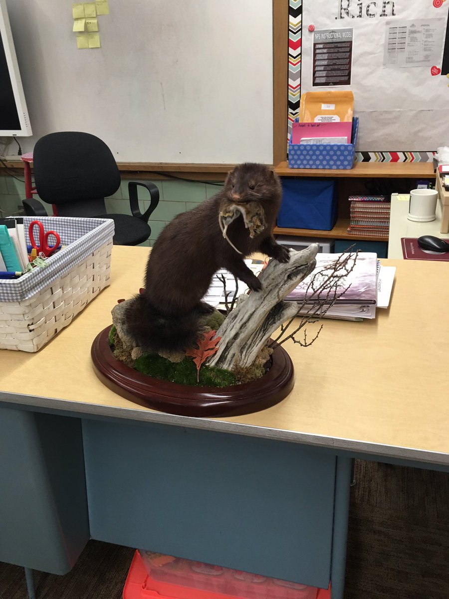 MandyWolff_Rich's tweet photo. When a good friend keeps their promise! 🐻 Thank you Mark! @JFNorfolk https://t.co/IcS7GmOWlC