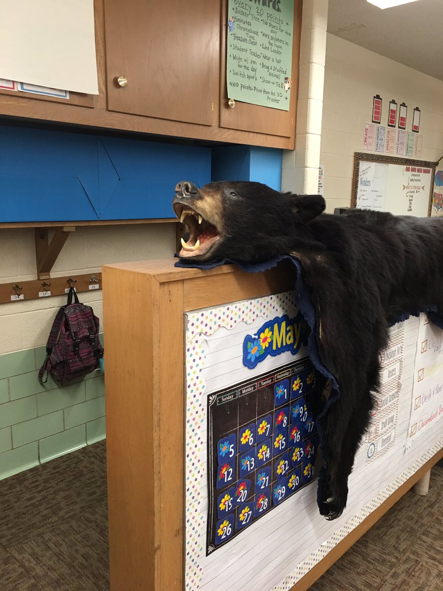 MandyWolff_Rich's tweet photo. When a good friend keeps their promise! 🐻 Thank you Mark! @JFNorfolk https://t.co/IcS7GmOWlC