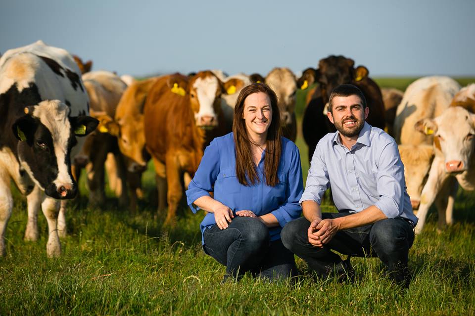 CardiganFoodFestival tweet media