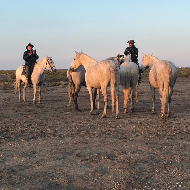 Keith Hammond (@gigshooters) on Twitter photo 4am call to meet with these horsemen of The Camargue and the magnificent horses was so worth it, an experience I will not forget, on location assisting <a href="/richardpardon/">Richard Pardon</a> bit.ly/2Qcx2ga 4am call to meet with these horsemen of The Camargue and the magnificent horses was so worth it, an experience I will not forget, on location assisting <a href="/richardpardon/">Richard Pardon</a> bit.ly/2Qcx2ga