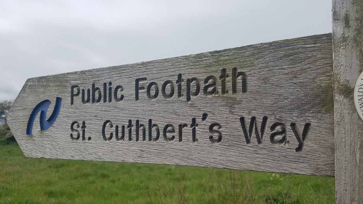 Julie Cribb tweet media