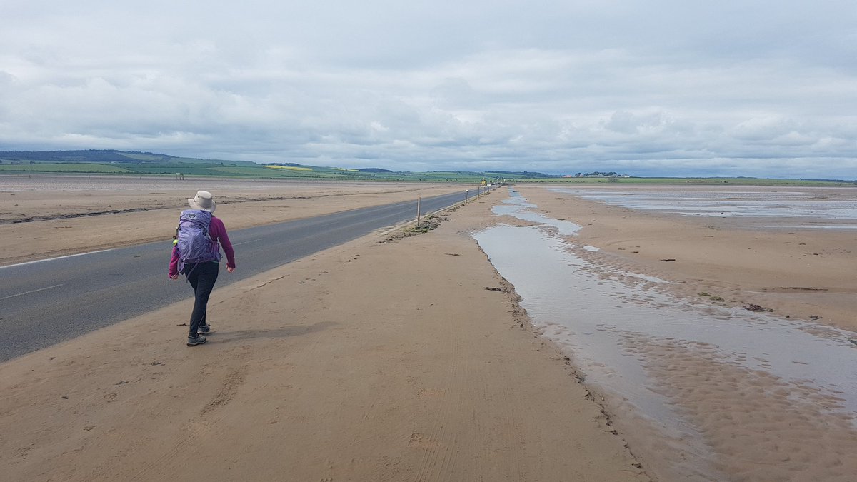 Julie Cribb tweet media