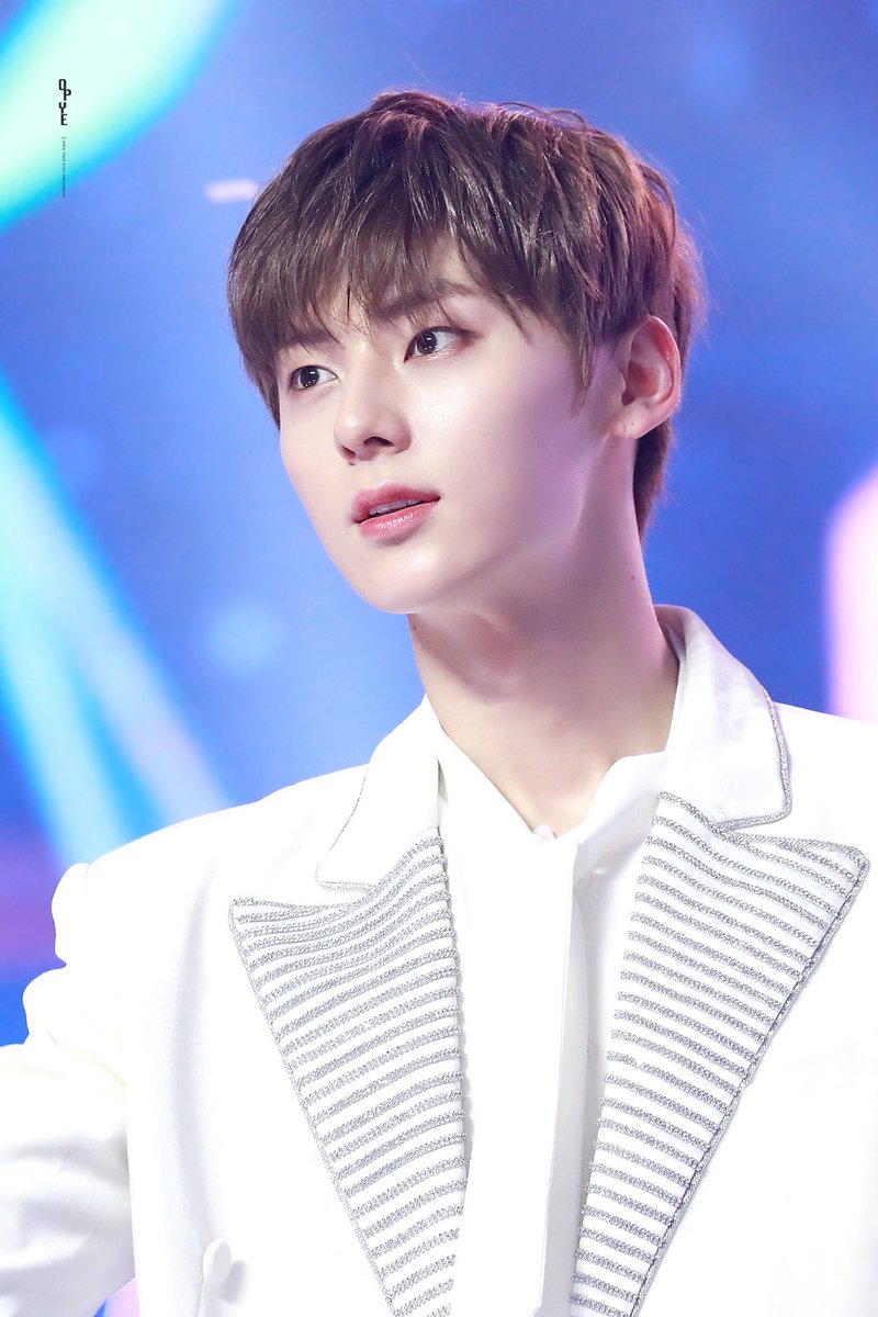 จะไม่ยอมเป็นทาสใคร ยกเว้นแมว tweet media