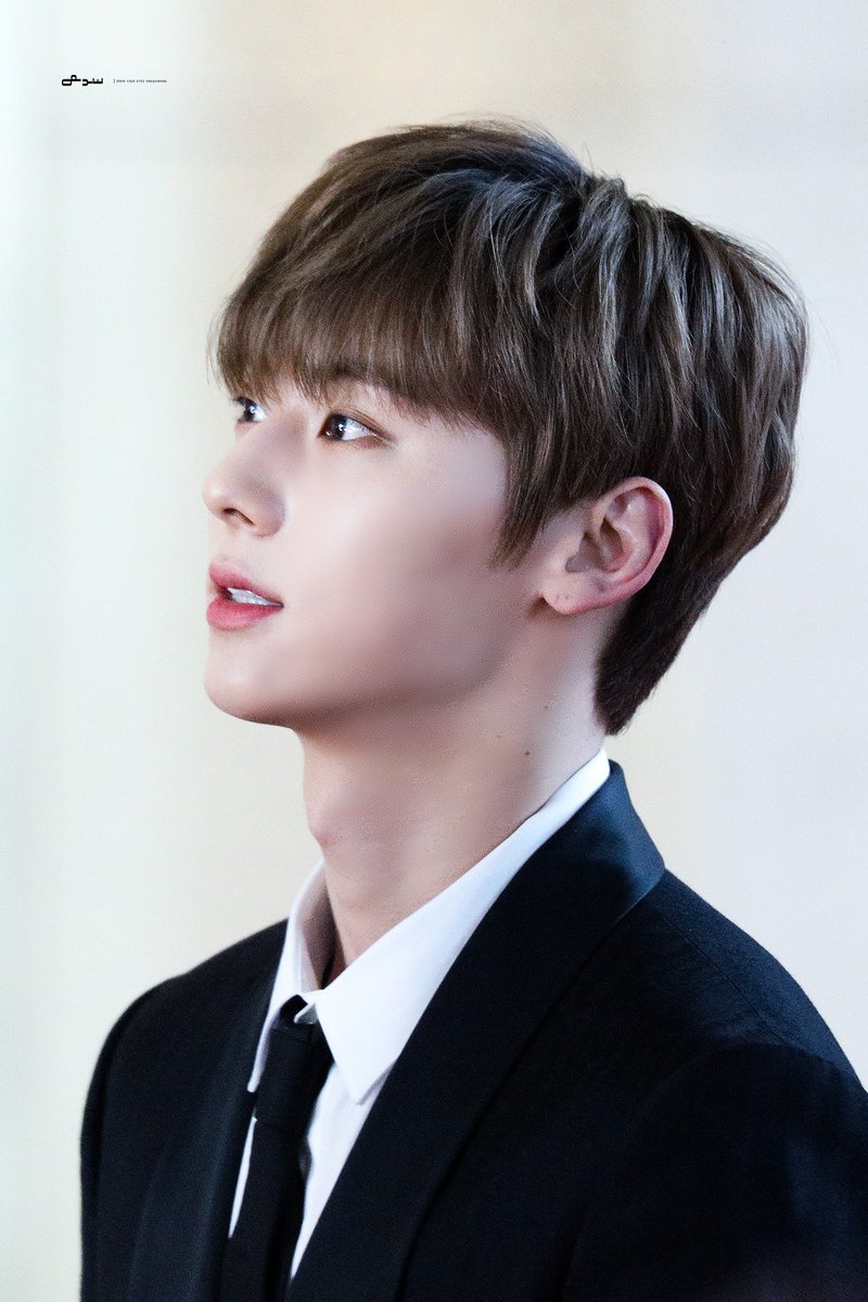 จะไม่ยอมเป็นทาสใคร ยกเว้นแมว tweet media
