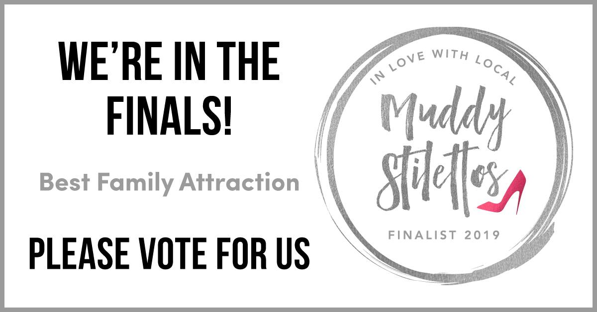 Redwings tweet media