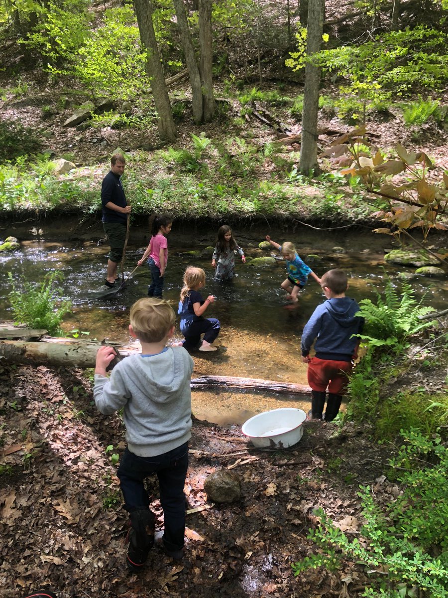 RumseyKindies's tweet photo. It’s what we do.  #forestday #kindergarten #riverplay #ousidelearning Rumsey Hall School https://t.co/GZZBB5w87L