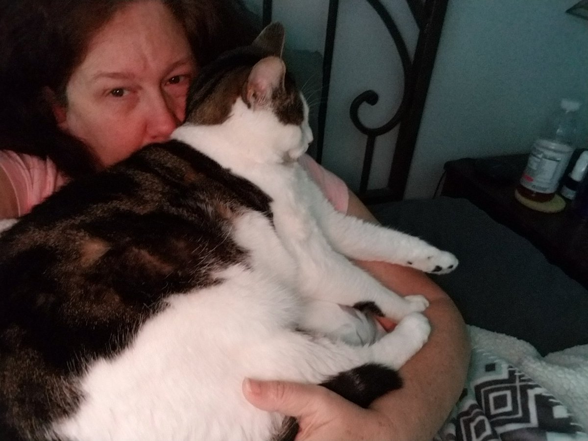 joanbernardini's tweet photo. Morning #coffee with #Eddie 
🐾🐾🐾🐾🐾😻
#cat #cats #catsofinstagram #instacat #kitten #catlover #kitty #meow #catoftheday #catsagram #catofinstagram #tabby #furball #tabbycats #recuecat #furbaby #mypet 
#furmom #recuecat #bernardinitravel https://t.co/3ZlSO59lTq