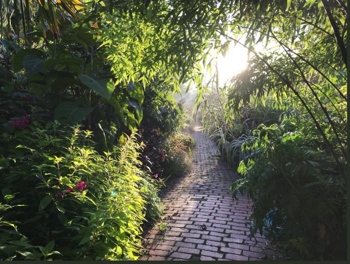 witchmuseum's tweet photo. Congratulations to @stevenedney4 and @salutationhotel  taking  @The_RHS  gold medal at #ChelseaFlowerShow for their display! In the garden for @witchmuseum @KonContweets #magicflute June/July. Picnics: @Shanechef32 Info: https://t.co/icQSTfMWwb tickets: https://t.co/nTaSwXHpuL https://t.co/iZ9OzA0xSO