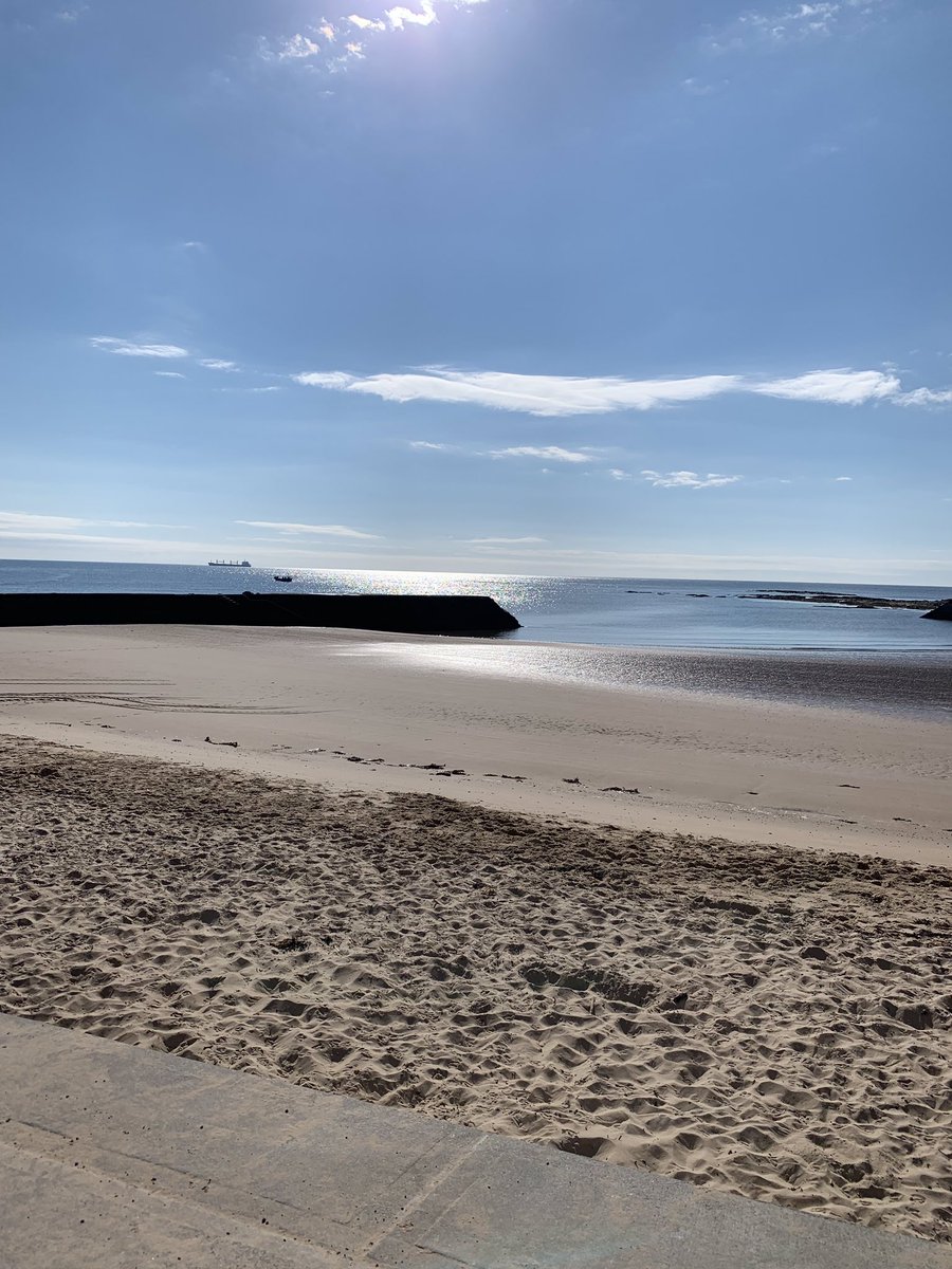 HI_Lab_NCL's tweet photo. Beautiful morning for our away day in Cullercoates @NCLDoveMarine https://t.co/KhQczVzNXk