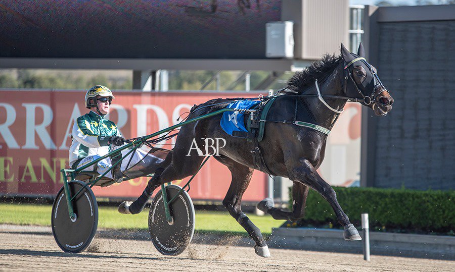 TrottersNSW's tweet photo. 2019 GROUP 3 HRNSW 3YO TROTTERS FOUNDATION FINAL

Congratulations to Owner and TANSW member Lyn Fitzpatrick and The Blake Fitzpatrick Racing Stables, winners of the 2019 Group 3 HRNSW 3 year old Trotters Foundation Final with the talented colt Caligula (NZ). https://t.co/Me8ZL7xhjn