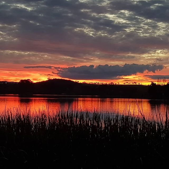 rowingact's tweet photo. Beautiful sunset over the lake! Hard to believe that its almost winter! #winteriscoming #rowing #rowingact #sunsets https://t.co/tm5oBvh1cC https://t.co/zD8IBnvkLI