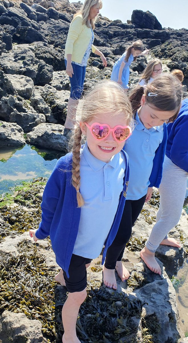 marys_rc's tweet photo. Having an amazing time at the beach!
#beachexplorers
#MakingMemories
#outdoorlearning https://t.co/lKhvPddSNz
