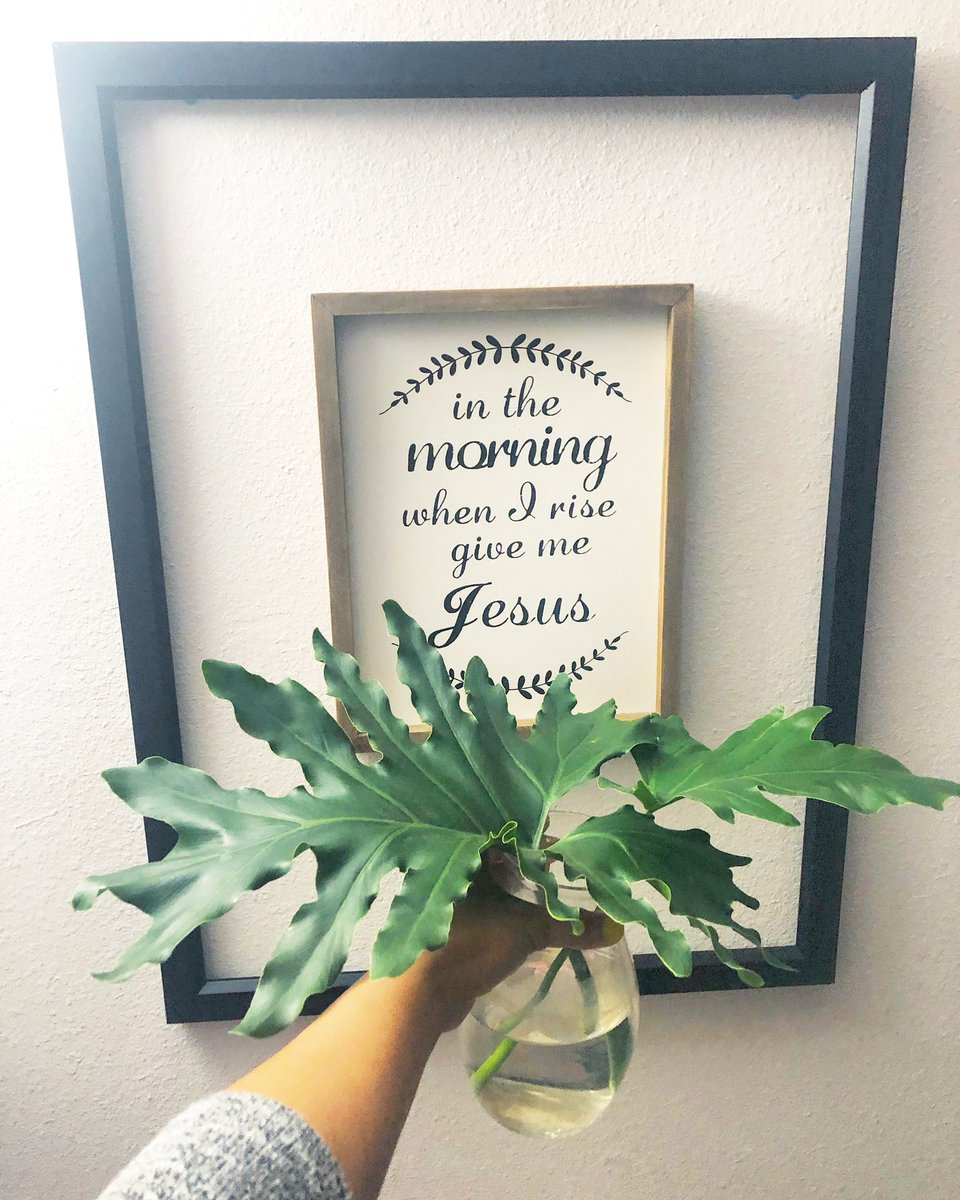 truthbands_shop's tweet photo. #HappyTuesday https://t.co/53hebn04L7