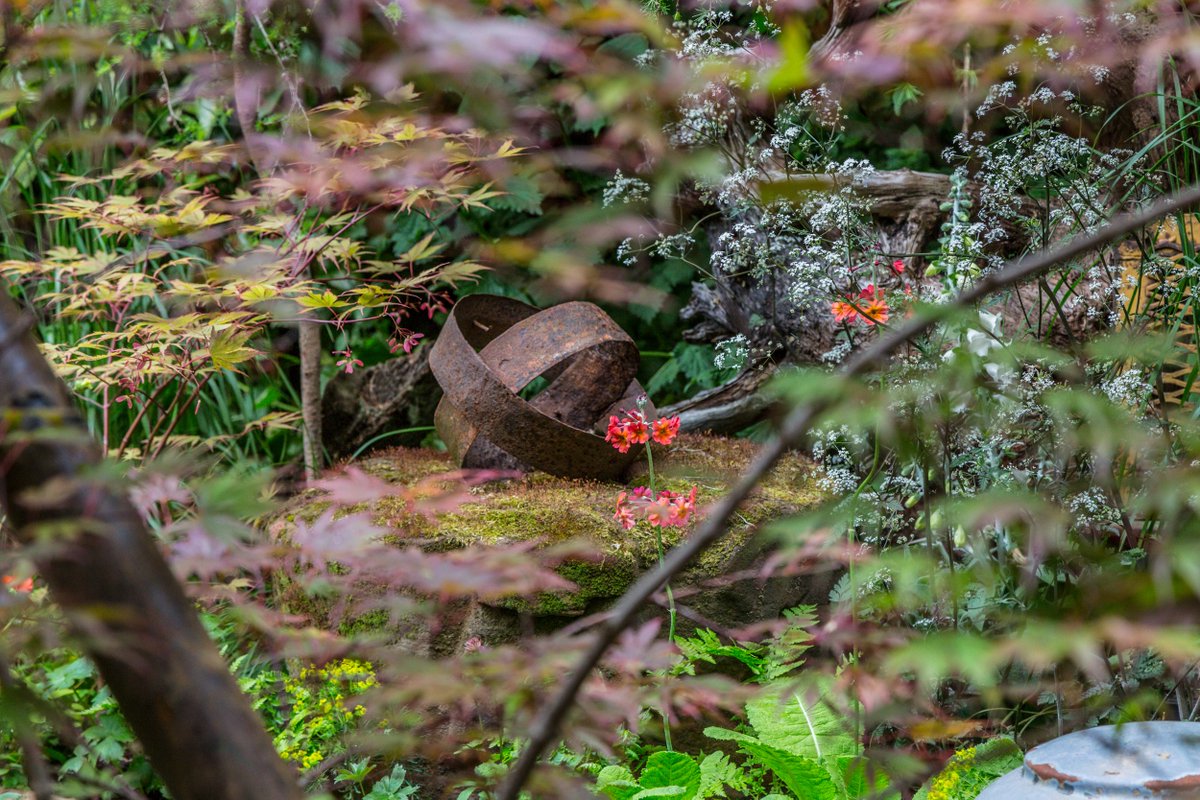 OG Media Solutions tweet media