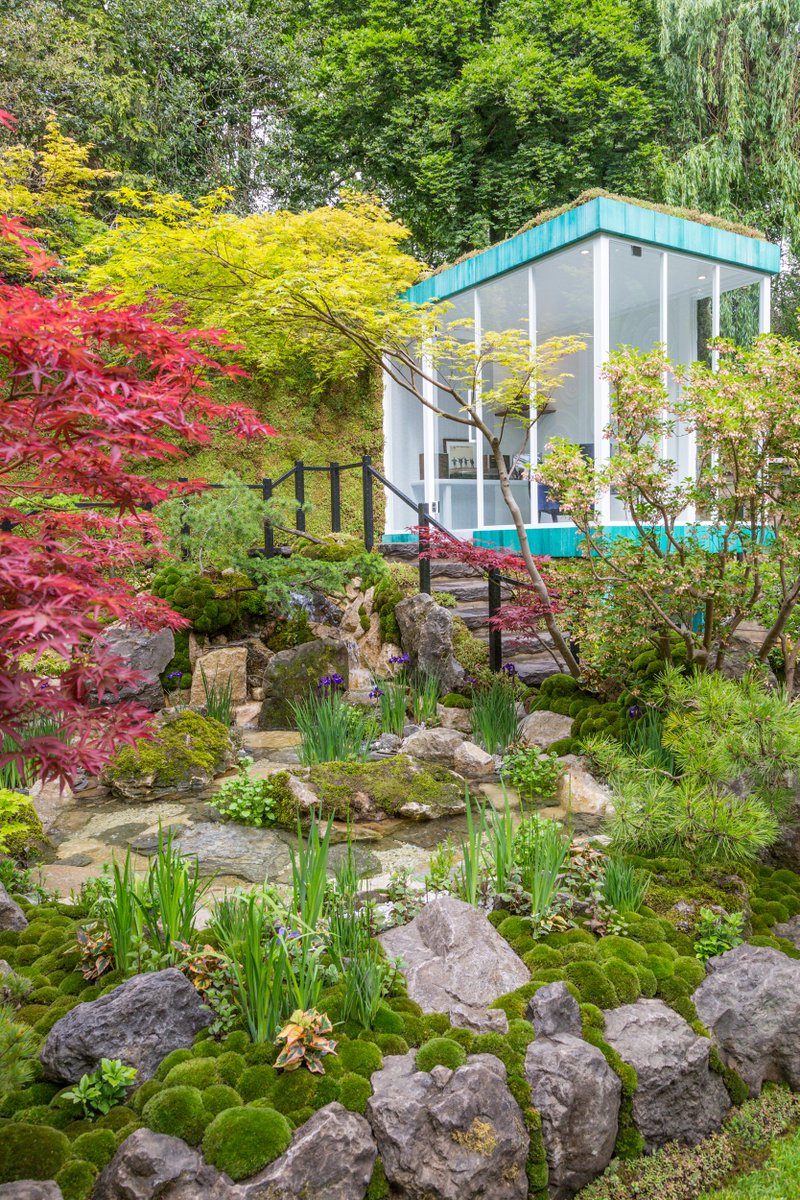 Green Switch Gold medal winner <a href="/The_RHS/">The RHS</a> #RHSChelsea