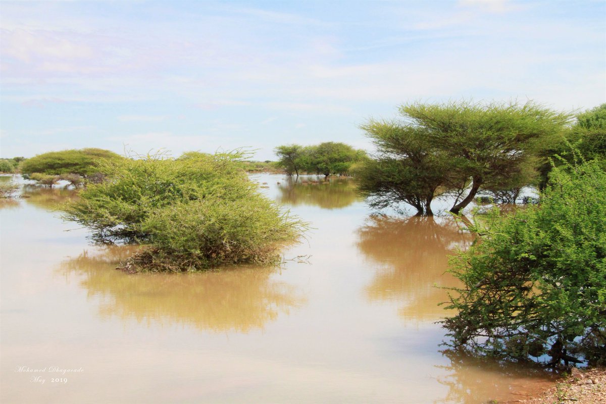 ceelhuuronline's tweet photo. Labadii maalmood ee lasoo dhaafay Roobkii #GU2019 si fiican uga da'ay #Cadaado iyo deegaano badan #Galmudug.
Photos @MDhagacade https://t.co/wz3fQri7Tb
