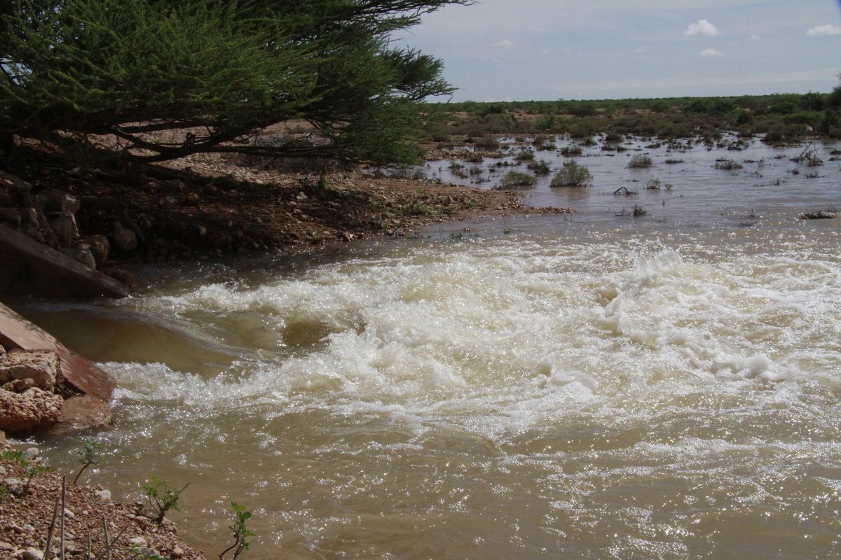 ceelhuuronline's tweet photo. Labadii maalmood ee lasoo dhaafay Roobkii #GU2019 si fiican uga da'ay #Cadaado iyo deegaano badan #Galmudug.
Photos @MDhagacade https://t.co/wz3fQri7Tb