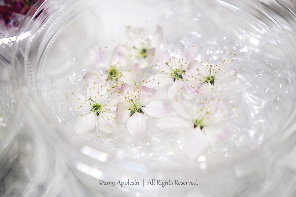 Applesin_es's tweet photo. เคยเจอดอกไม้แห้งที่เปิดแล้วหน้าแห้งเลยมั้ยคะ.....( ͡° ͜ʖ ͡°)

นี่ครั้งแรกที่เปิดเจอล่ะเกสรดอกซากุระยังตั้งยอดสวยมากกกก

คือไม่กล้าเอาลงเรซิ่นจริงๆ เริ่มเข้าใจคนรู้สึกไม่กล้าใช้ของล่ะ...

#ลูบหน้า #ก็คุ้มราคา https://t.co/IKUg96KEy8